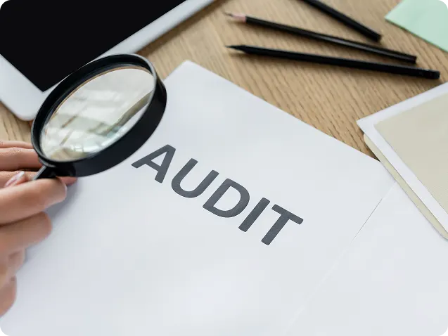 Audit-Services