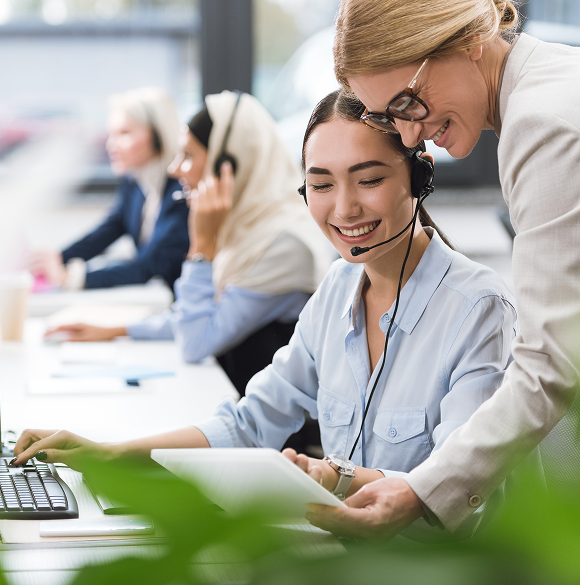 Audit Support